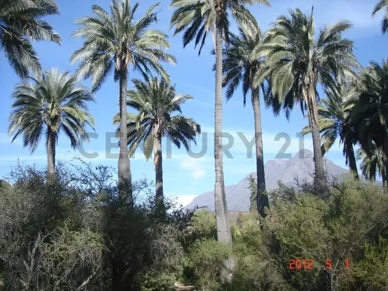 Parcela En Oasis De La Campana  Sector Los Trigales