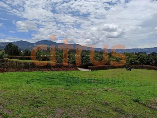 Lotes En Venta La Ceja 643-6522531