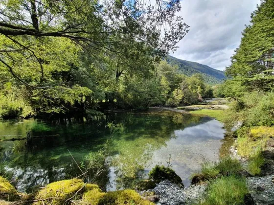 Un Lugar Para Soñar En Villa Vanguardia- Chaiten