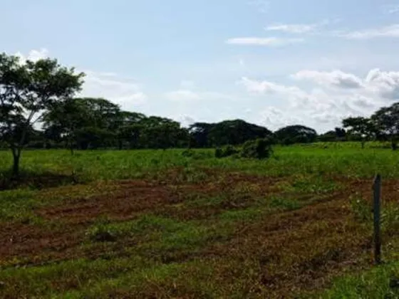 Vendo Finca Productiva De Propiedad Privada. 1.080 Ha. Ubicada Entre Los Límites De Yaracuy-falcón. E. Waldemar