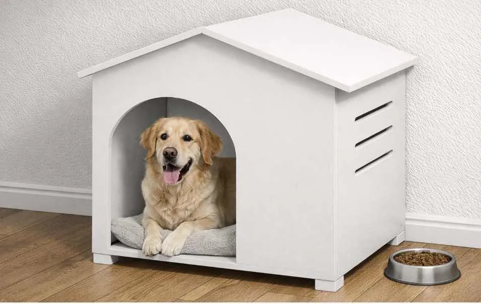 Aerial Cat House406419019306127361