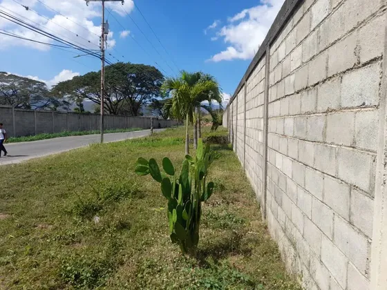 Clientes Directos Fd. En Venta Terreno 1.798mts2 Totalmente Plano, Con Paredes Perimetrales, Ubicado En La Hacienda La Miguelera, Sector El Polvero, Vía La Universidad Arturo Michelena. Eb