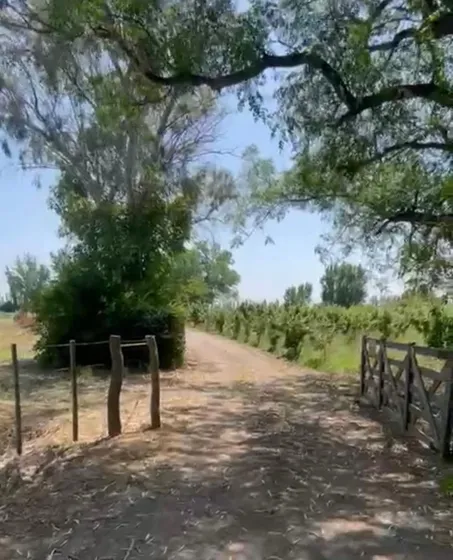 Finca,cultiva Uva, Damasco Y Membrillo ,4 Dorm Pileta