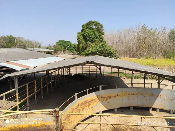 Vc Barinas Hato En Plena Producción  Solo Clientes