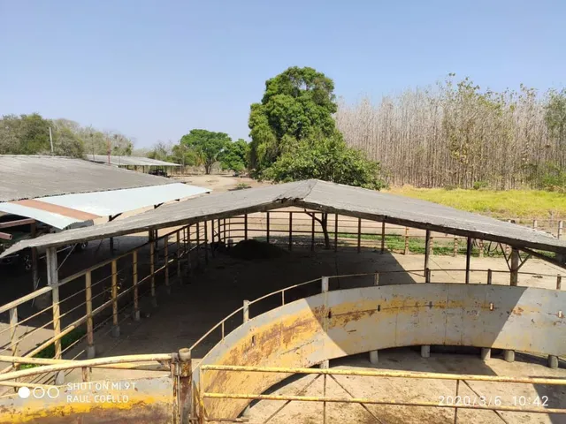 Vc Barinas Hato En Plena Producción  Solo Clientes