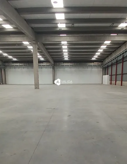 Oportunidad Bodega Arriendo Desde 1.000m2 La Montaña/ruta 5