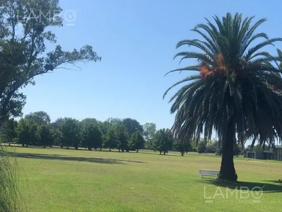 Venta-lote-manzanares-la Ranita-lambo