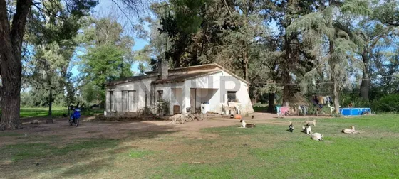 12 Has De Campo De Uso Mixto En Barrancas