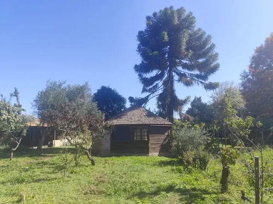 En Venta Parcela De 1 Hectárea Con Casa En La Punta
