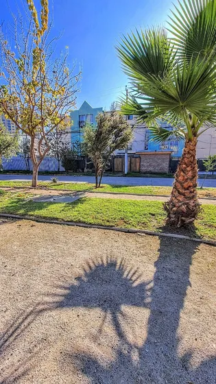 Depto Ideal Inversión 2d+1b Villa Los Profesores
