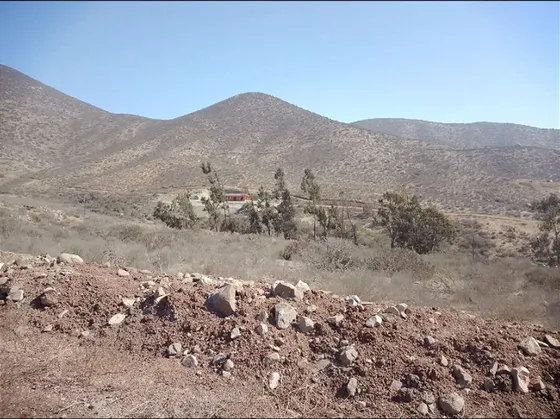 Parcelas En Venta En La Serena Sector Hinojal Valle De Elqui