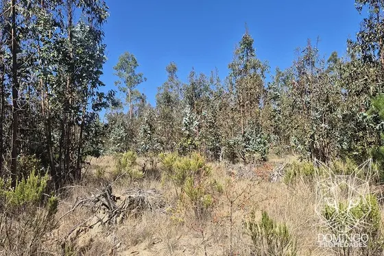 Parcela Entre Tunquen Y Quintay