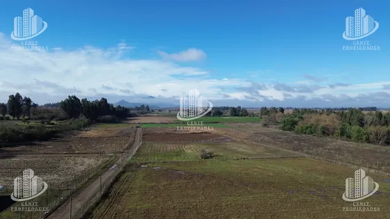 Parcela En Venta 1ha Pelarco, 20 Min De Talca