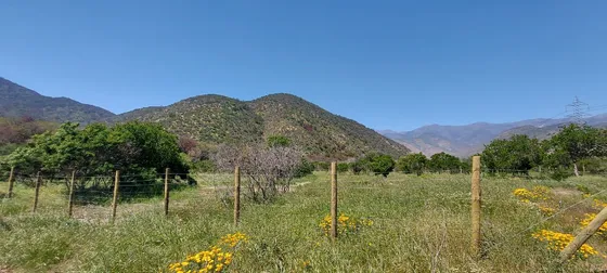Venta Parcela 5000mts Olmué