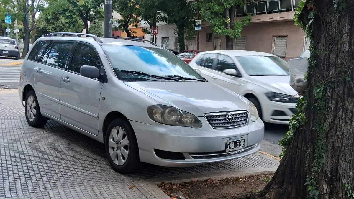 Miniatura 10