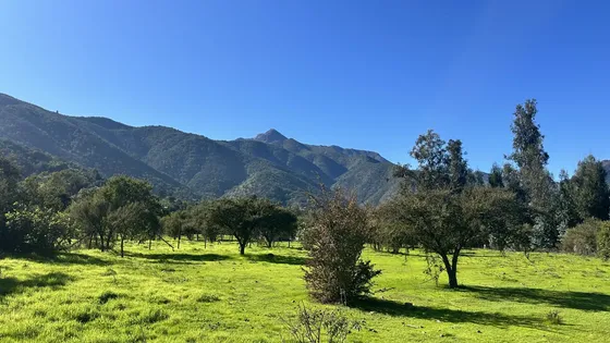 Terreno Urbano Y Central De 11700 M2 En Olmue Con Casa
