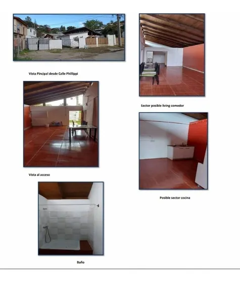 Phillippi (sector Los Carrera)