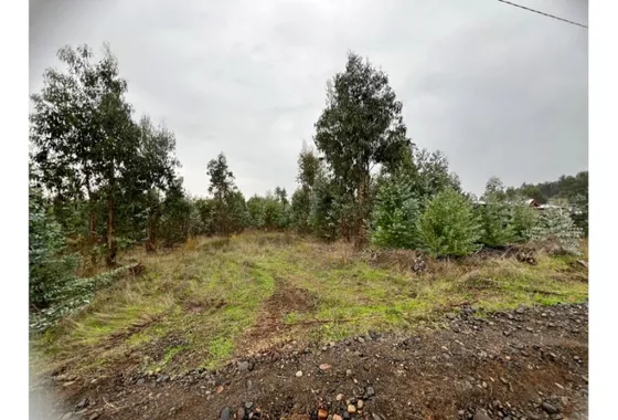 Parcela A Las Afueras De Chillán Viejo