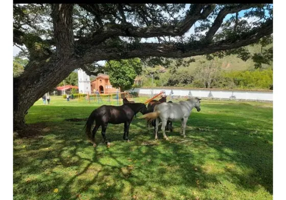 Vendo Lote En El Kilometro 43 San Jose Del Salado 10 Minutos Queremal