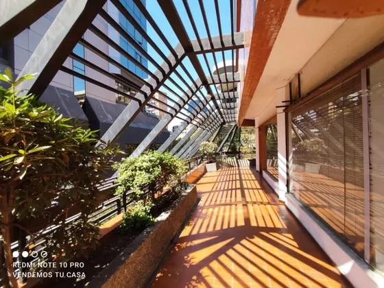 Amlplio Local Comercial En Paseo Las Palmas, Providencia