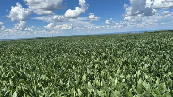 2318ha-excelente Fazenda Plantando