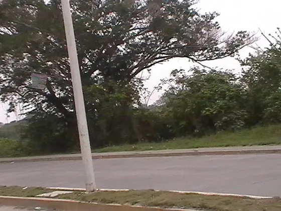 Se Vende Terreno En Tuxpam Veracruz, 12185 M²
