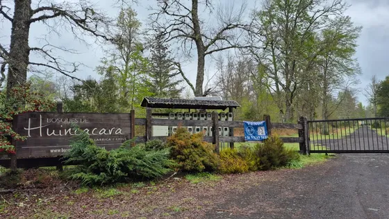 Vende Terreno Bosques De Huincacara, Pucon- Condominio