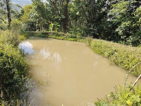 Se Vende Finca Guadalupe Santander 