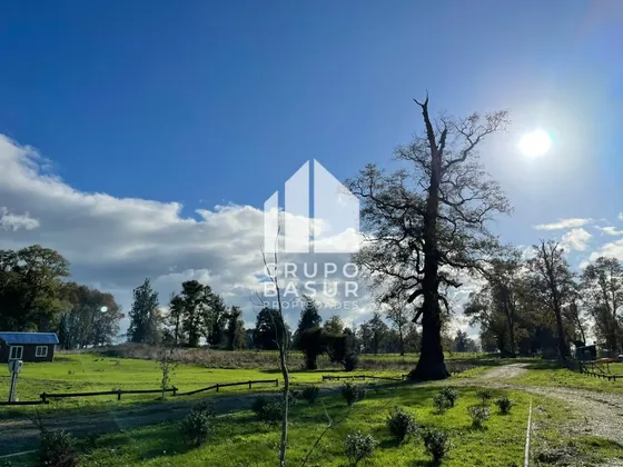 Parcelas, Condominio Rododendros De Tacamo, 8 Km De Osorno