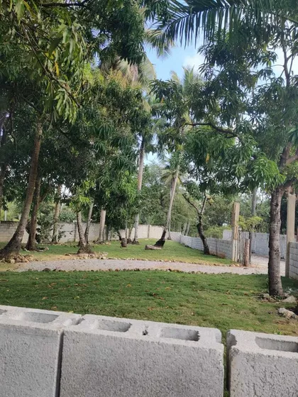 A 10 Minutos De La Playa Arroyo Salado