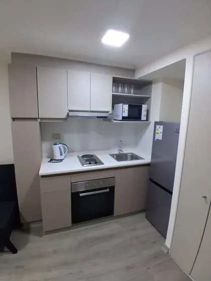 Dpto Amoblado Nuevo A Estrenar De Una Habitacion