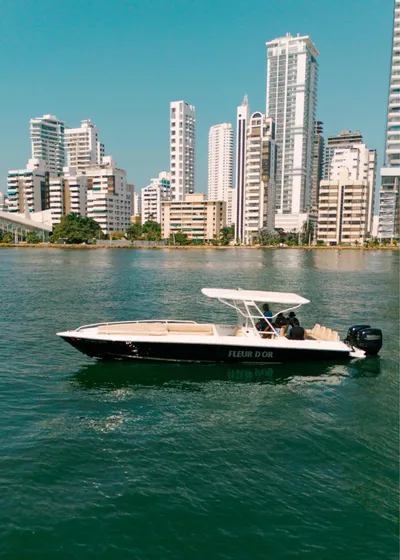 Lancha Deportiva 34