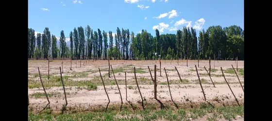 Terreno En Uspallata 2000mts