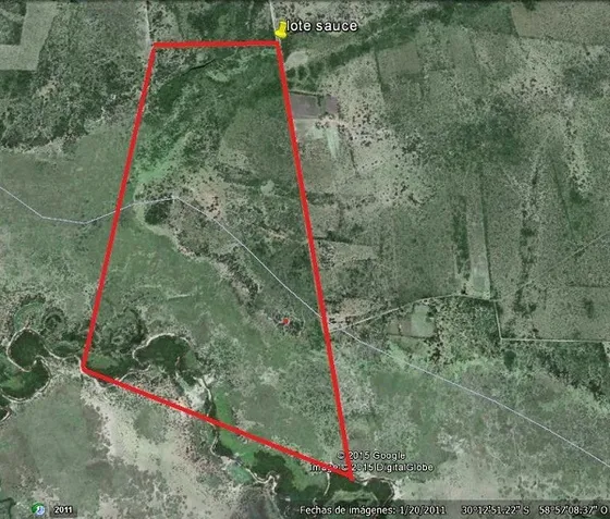 Campo 130 Hectareas Ganadero Sauce - Corrientes