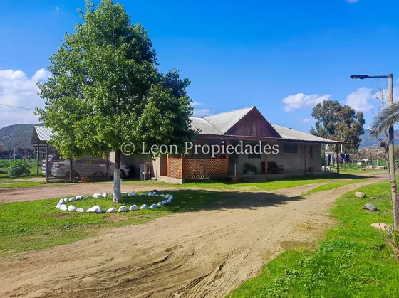 Se Vende Parcela Con 2 Casas Y Un Galpón En Curacaví