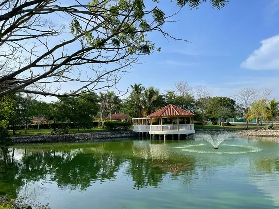 Vivir Con Comodidad, Ambiente Natural Y De Descanso, Te Ofrece  Hermosa Casa En Zona Norte Cod. 45922