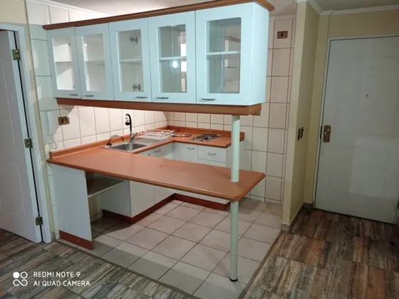 Arrienda Depto. Amoblado, 1 Dormitorio Baquedano Y Sn Pablo