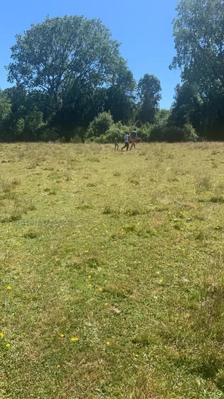 Parcela 15.000ha Frutillar, Aprovecha Esta Oportunidad Única