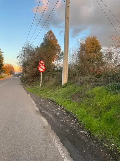 Sitios De 1000 M2 Con Rol Orilla Cinco Sur Teno