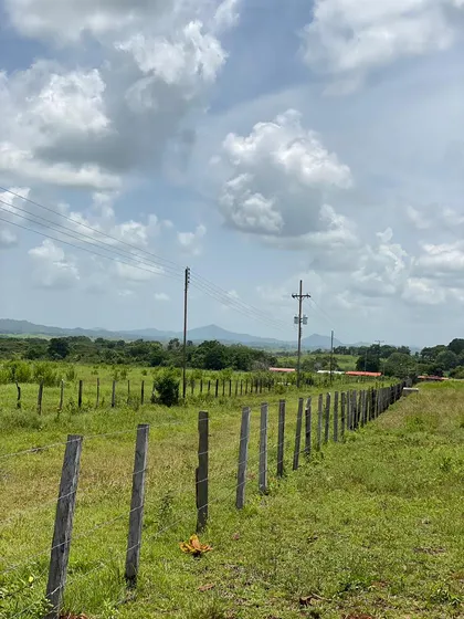 Mc Se Vende Finca En Tinaquillo 