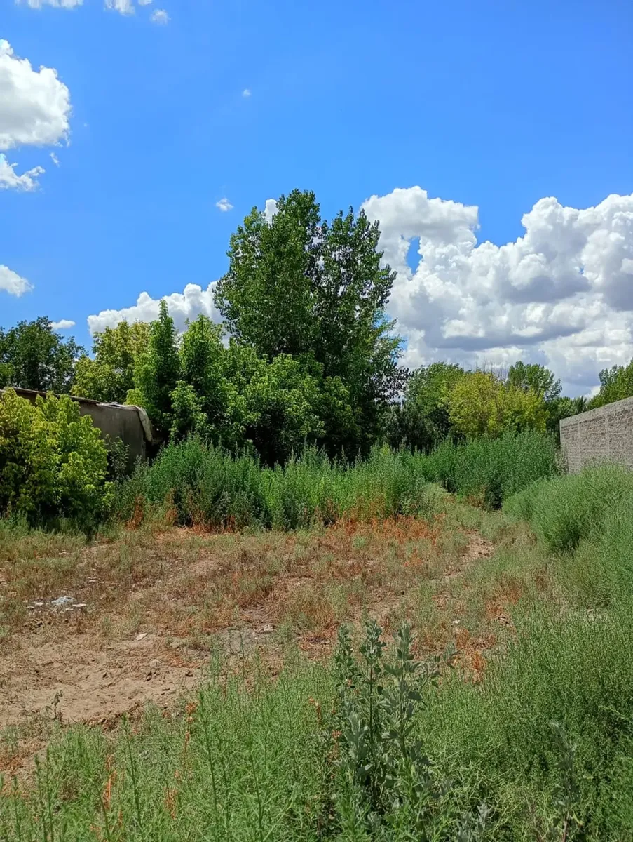 2170 m² Land for Sale - Tunuyán