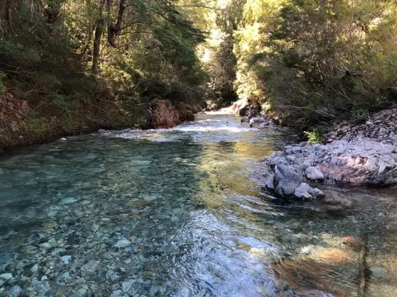 En Venta Campo Con 5 Km De Río Barrancas En Llanada Grande