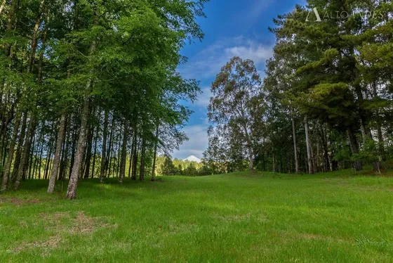 Sitio En Venta En Villarrica