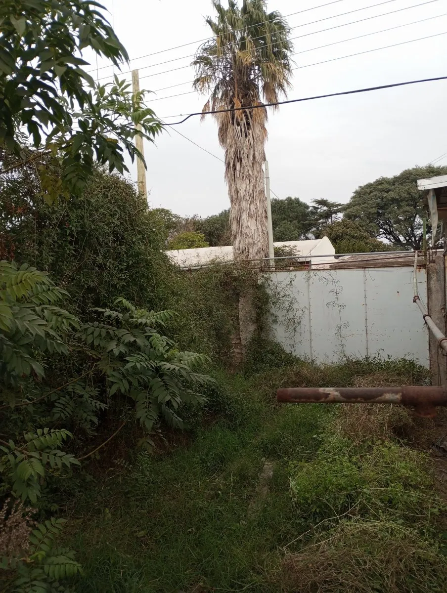 Vendo Lote Con Construcción A Demoler, Zona Sur