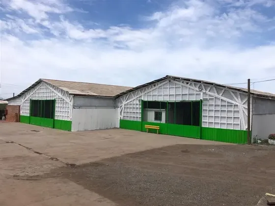 Oferta Liquidacion Propiedad Agrícola Con Packing