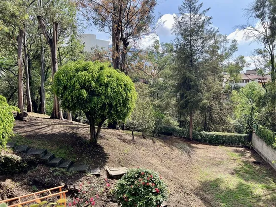 Venta Terreno En Olivar De Los Padres