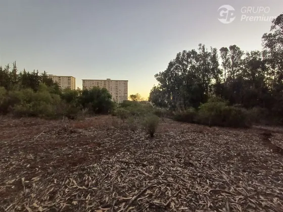 Gran Oportunidad De Inversión! Terreno En Venta En Algarrobo