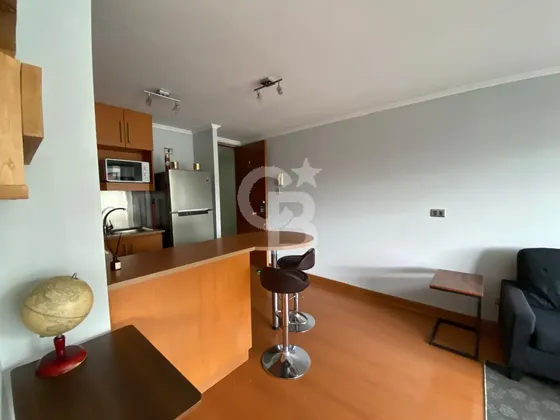 Arriendo - Metro Pedro De Valdivia