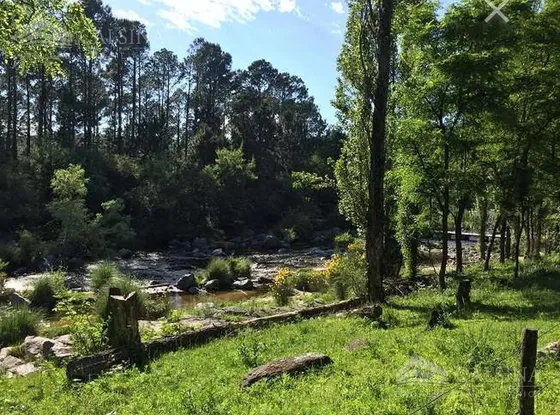 Campo En Los Reartes, Calamuchita