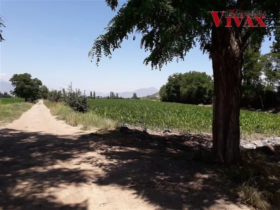 Parcela 7,3 Has En Venta A 1,5km Camino Padre Hurtado Paine